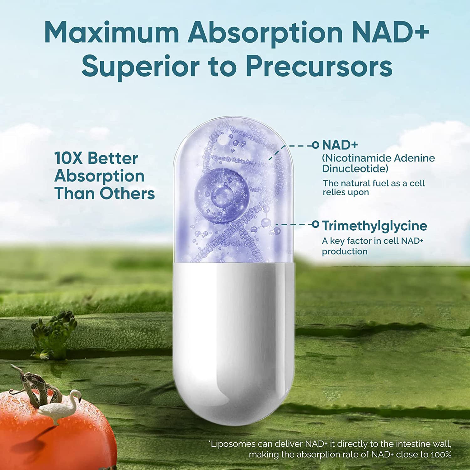 NAD Capsules