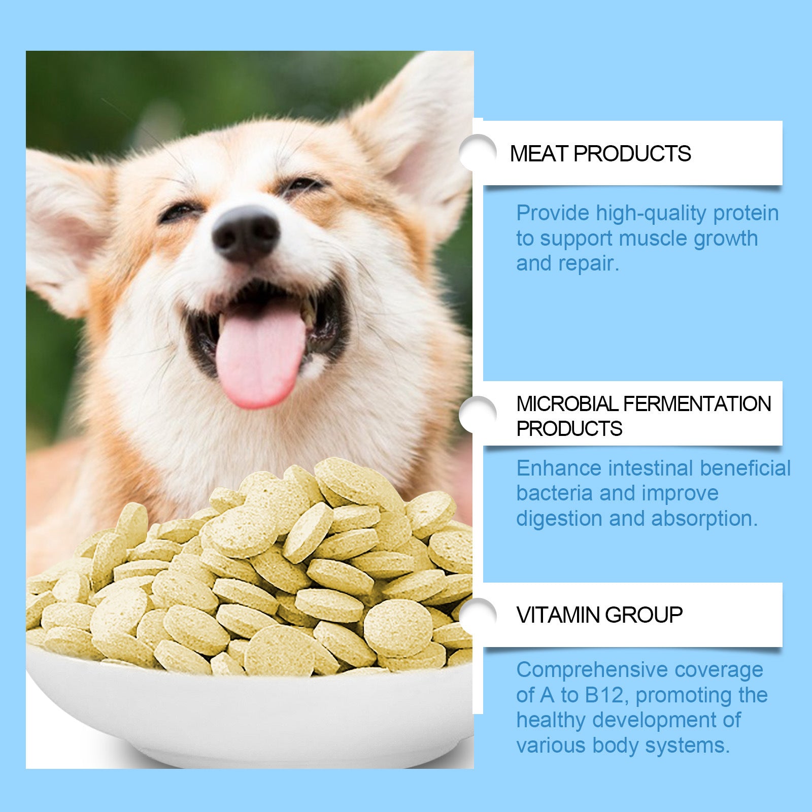 Yegbong Multivitamínico en comprimidos para perros Gatos Mascotas