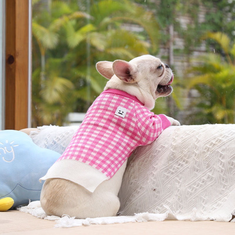 Nuevos productos de ropa para mascotas: mantiene el calor