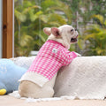 Nuevos productos de ropa para mascotas: mantiene el calor