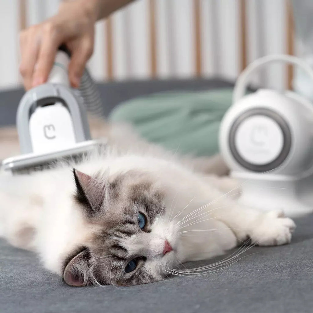Peine multifuncional para mascotas Beauty Pet