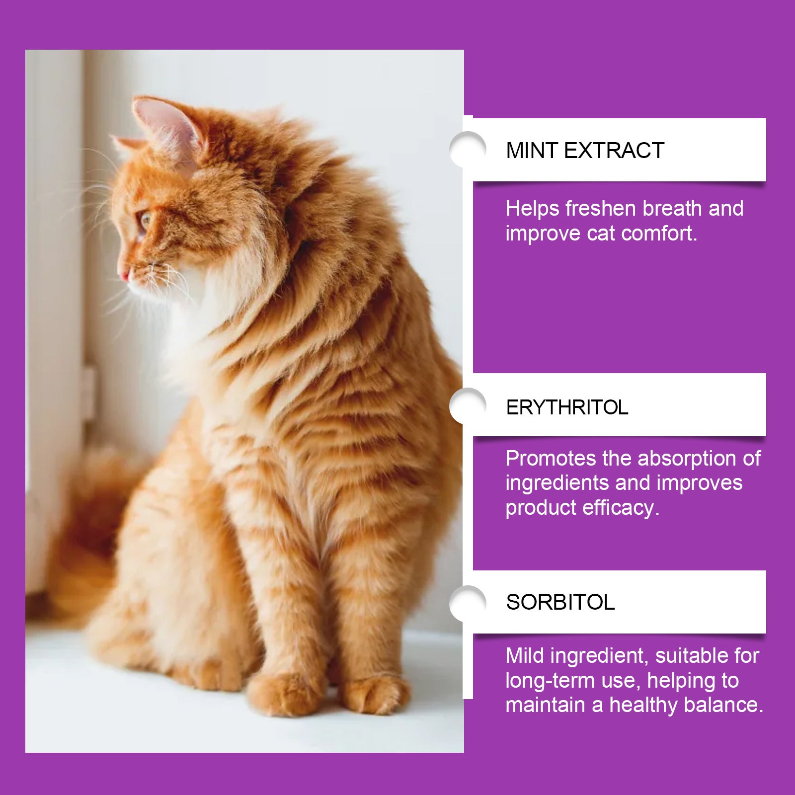Pet Cat Daily Care Vitamin Supplement