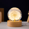 Bola de cristal de diente de león 3D luminosa con base de madera de haya, esfera de flores preservadas, adornos de escritorio, regalos de cumpleaños y Navidad
