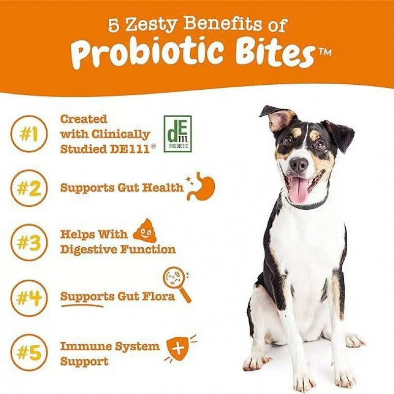 315 g Tabletas Masticables Probióticas Alimento para Perros Alimento para Gatos Salud Intestinal