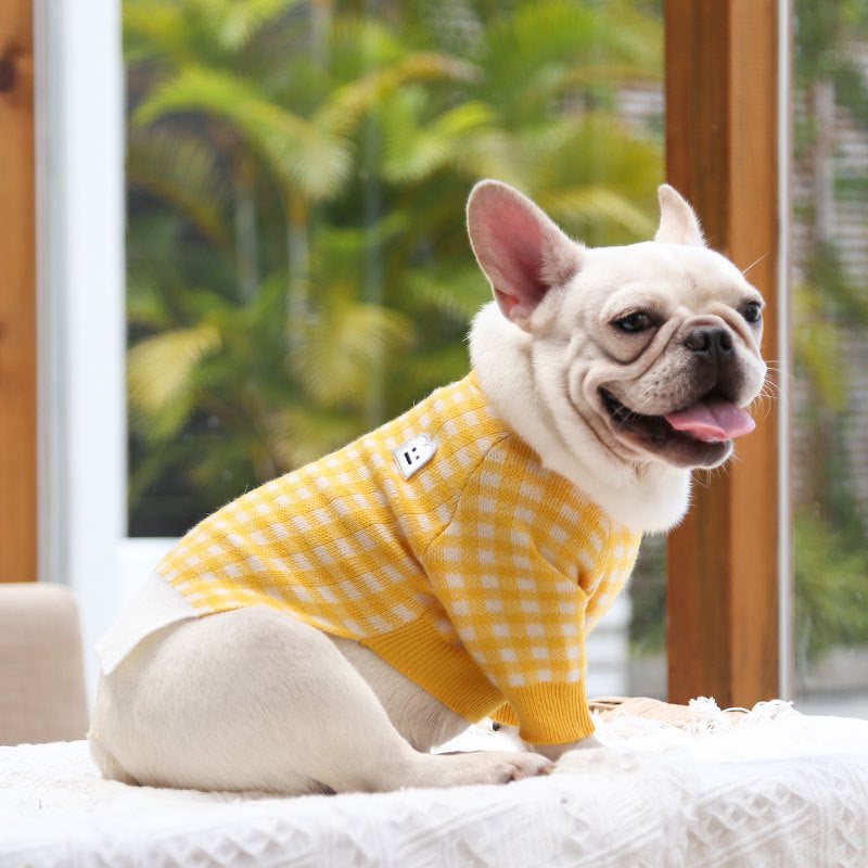 Nuevos productos de ropa para mascotas: mantiene el calor