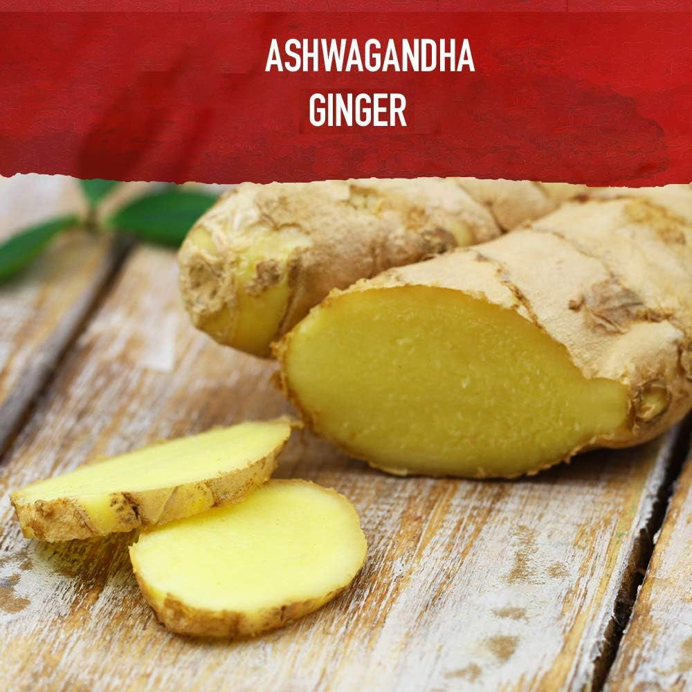 Sudáfrica Berenjena Drunk Cápsula Ashwagandha Ginseng Indio