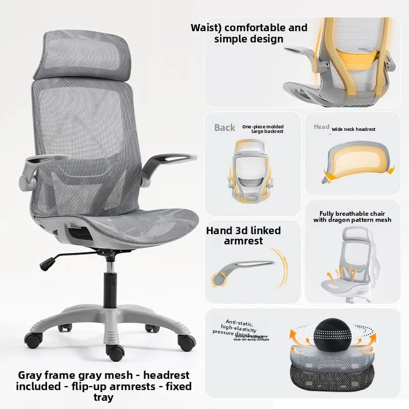 Silla ergonómica multifuncional, silla de conferencia para ordenador, silla de escritorio, aprendizaje, respaldo, silla para juegos