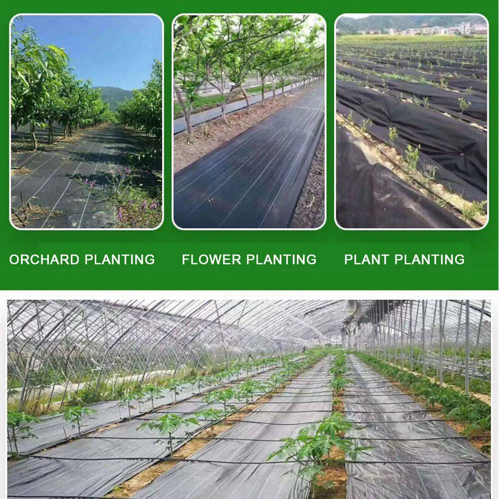 Tela tejida de polietileno de 16,4 pies/32,8 pies para control de malezas en plantas, cubierta agrícola para evitar hierbas, tela para acolchado, estera para deshierbe en invernaderos, permeable al agua