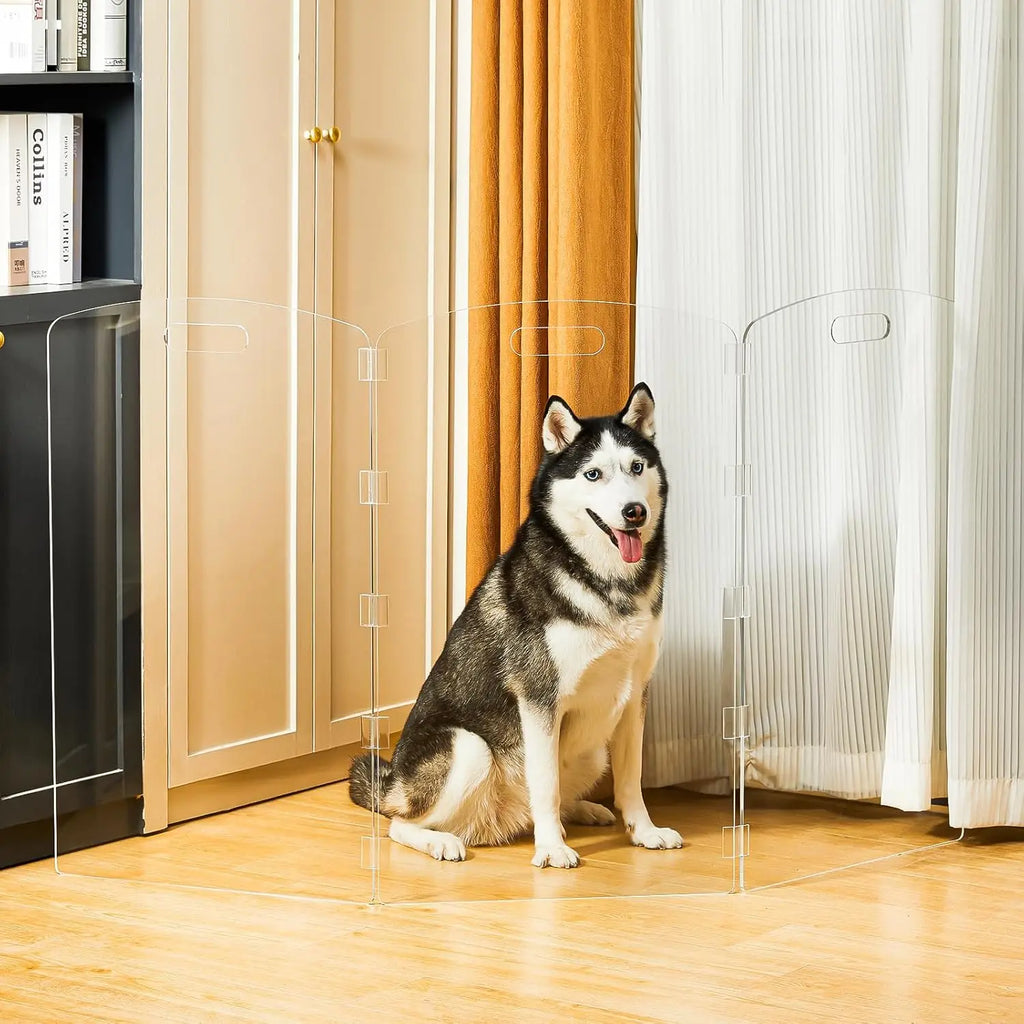 Barrera Plegable de Acrílico Transparente para Mascotas - 81 cm de Alto, para Puertas y Escaleras, Valla Interior para Perros y Gatos