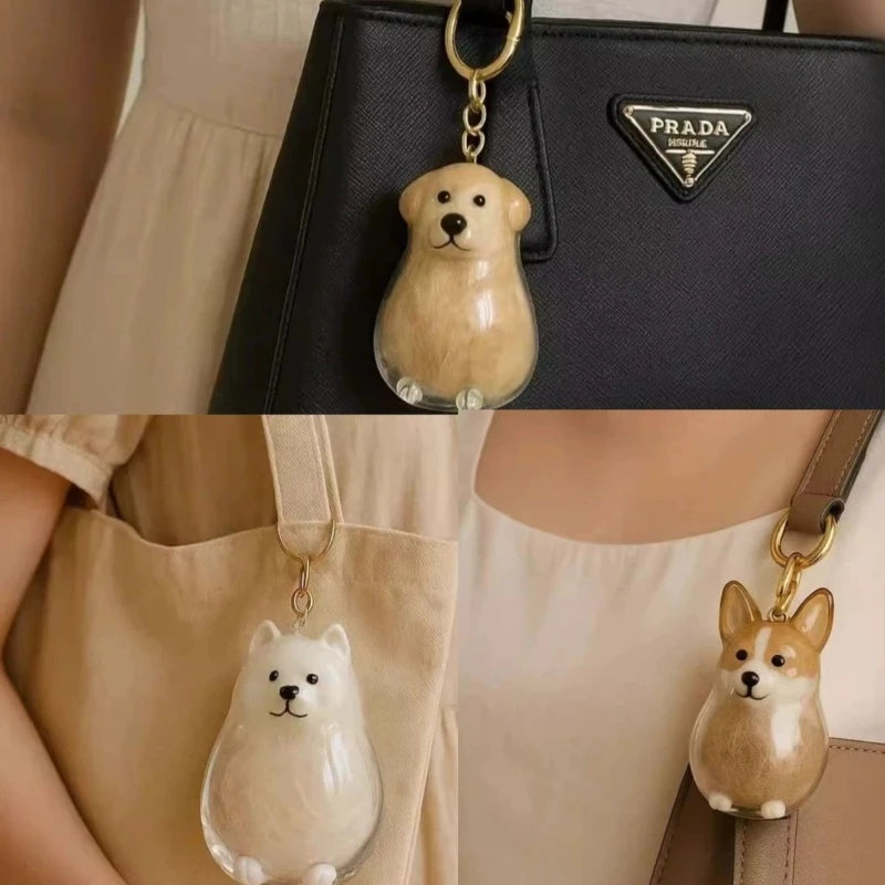 Caja de almacenamiento transparente con colgante para pelo de perro, colección de pelo de Golden Retriever, Corgi, Samoyedo, Labrador, llavero para guardar pelo