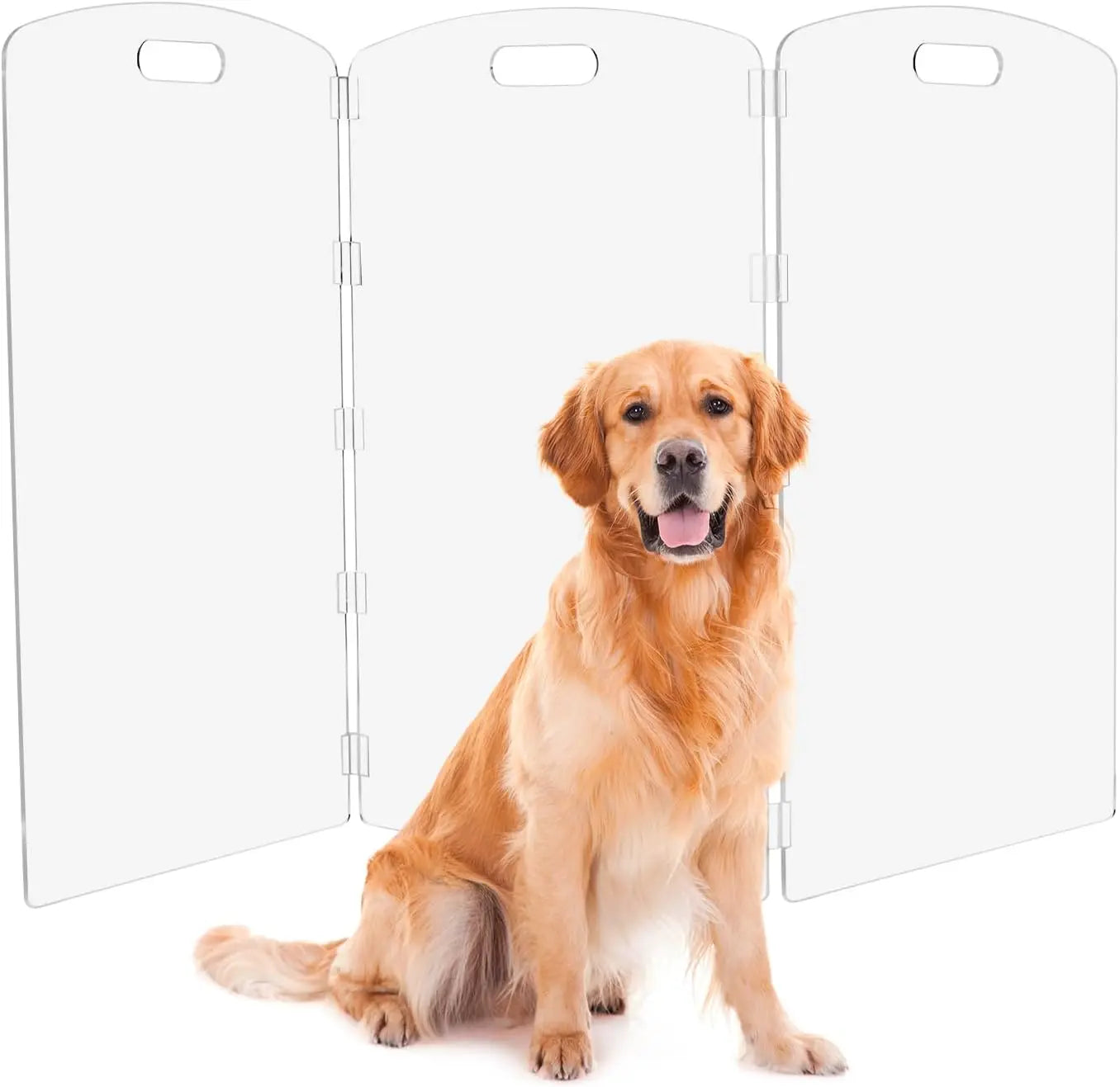 Barrera Plegable de Acrílico Transparente para Mascotas - 81 cm de Alto, para Puertas y Escaleras, Valla Interior para Perros y Gatos
