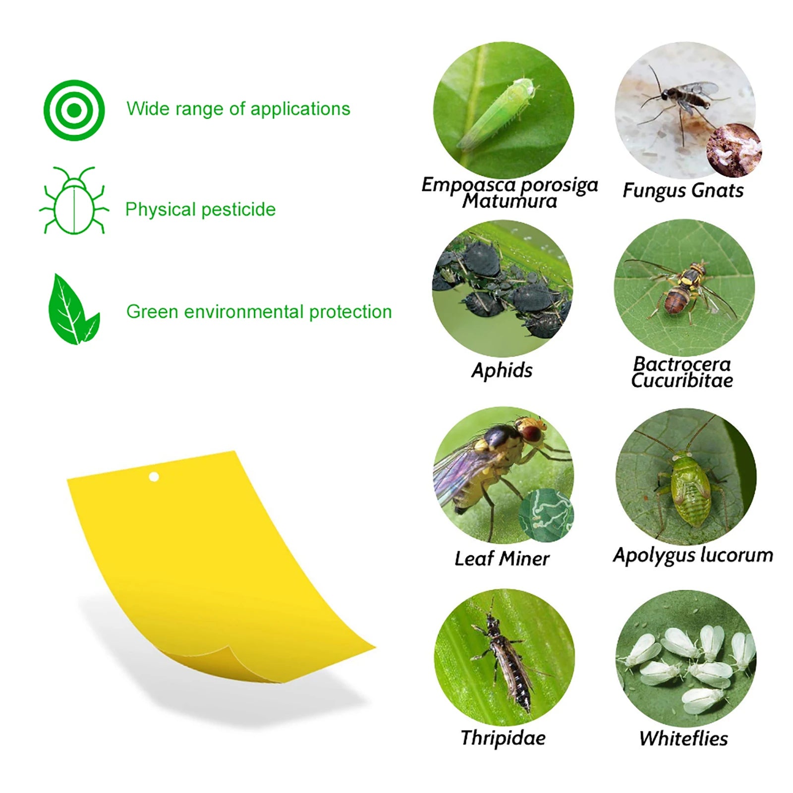 20-200PCS Pegatinas para moscas, atrapa insectos para plantas de exterior, trampa para moscas, trampas adhesivas de doble cara para insectos, trampa para mosquitos, tabla adhesiva
