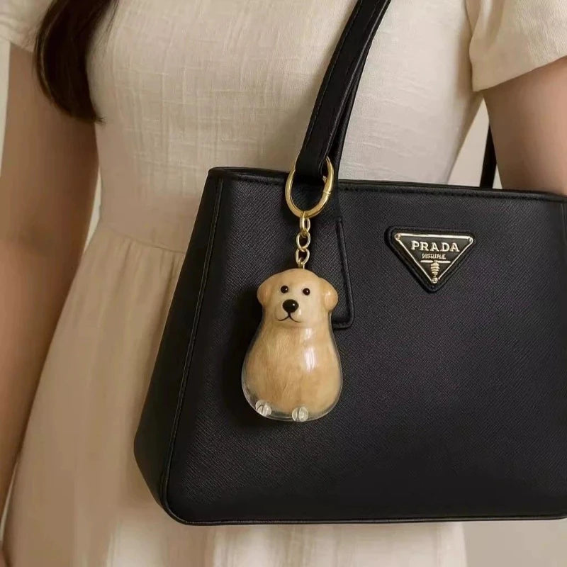 Caja de almacenamiento transparente con colgante para pelo de perro, colección de pelo de Golden Retriever, Corgi, Samoyedo, Labrador, llavero para guardar pelo