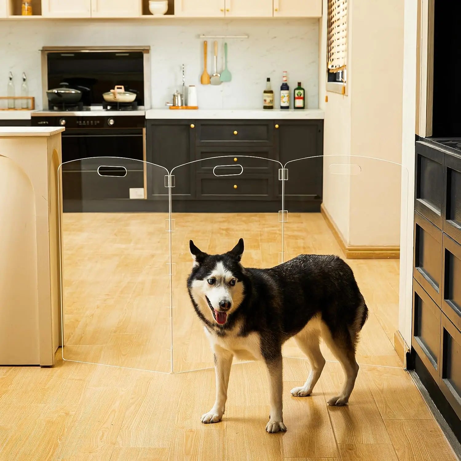 Barrera Plegable de Acrílico Transparente para Mascotas - 81 cm de Alto, para Puertas y Escaleras, Valla Interior para Perros y Gatos