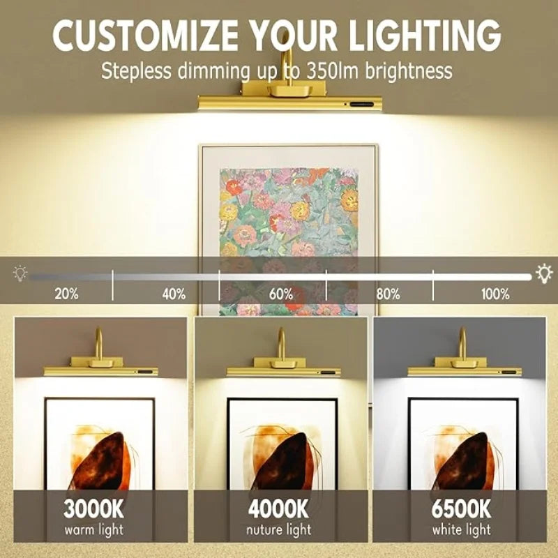 4000 mAh Luz de pintura y retrato con control remoto, lámpara de pared inalámbrica para sala de estar, funciona con batería recargable, para exhibición de arte