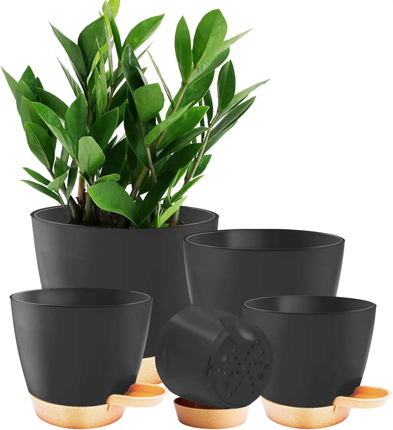 Paquete de 5 macetas de autorriego con drenaje, de 7/6.5/6/5.5/5 pulgadas, macetas de plástico para interior y exterior para suculentas y hierbas