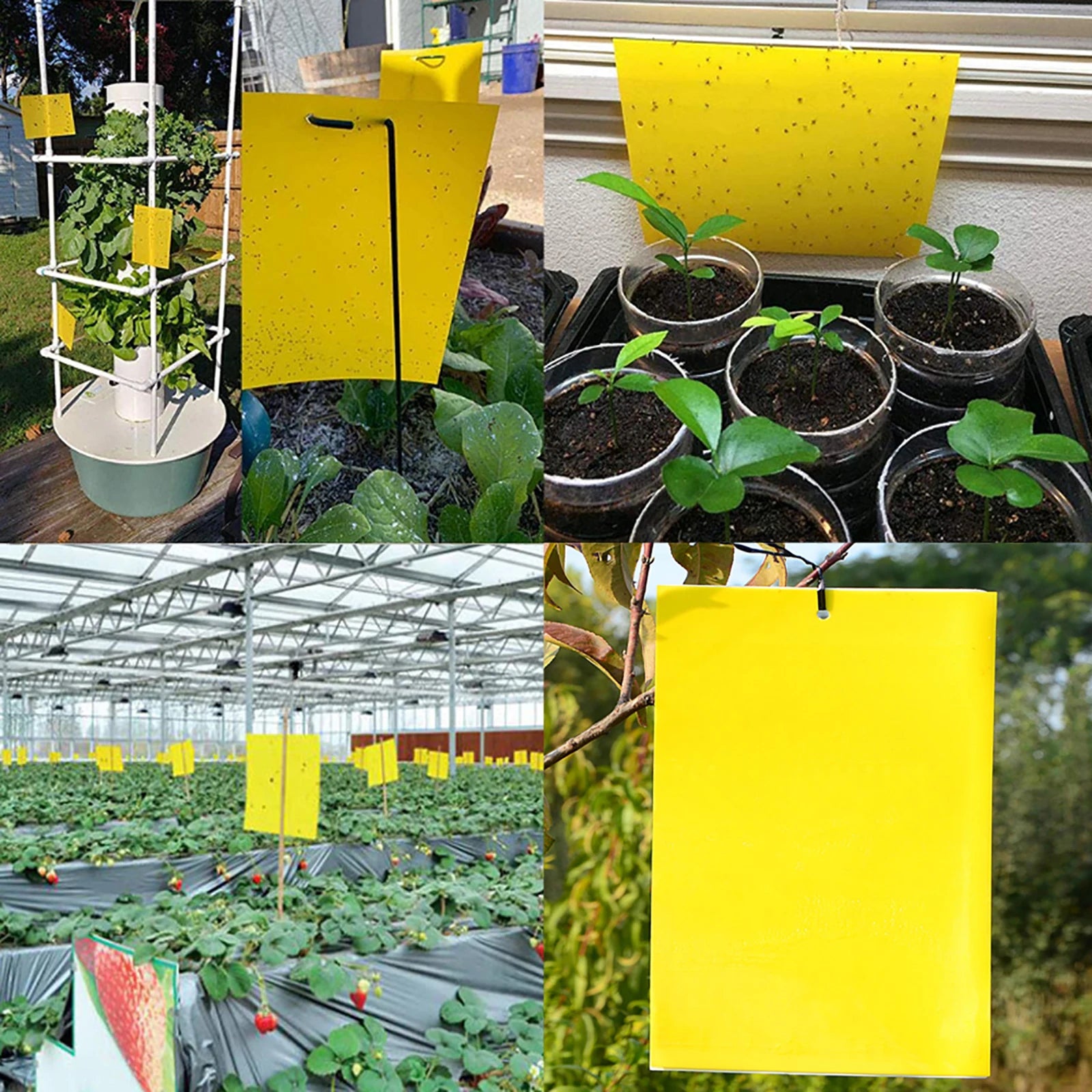 20-200PCS Pegatinas para moscas, atrapa insectos para plantas de exterior, trampa para moscas, trampas adhesivas de doble cara para insectos, trampa para mosquitos, tabla adhesiva