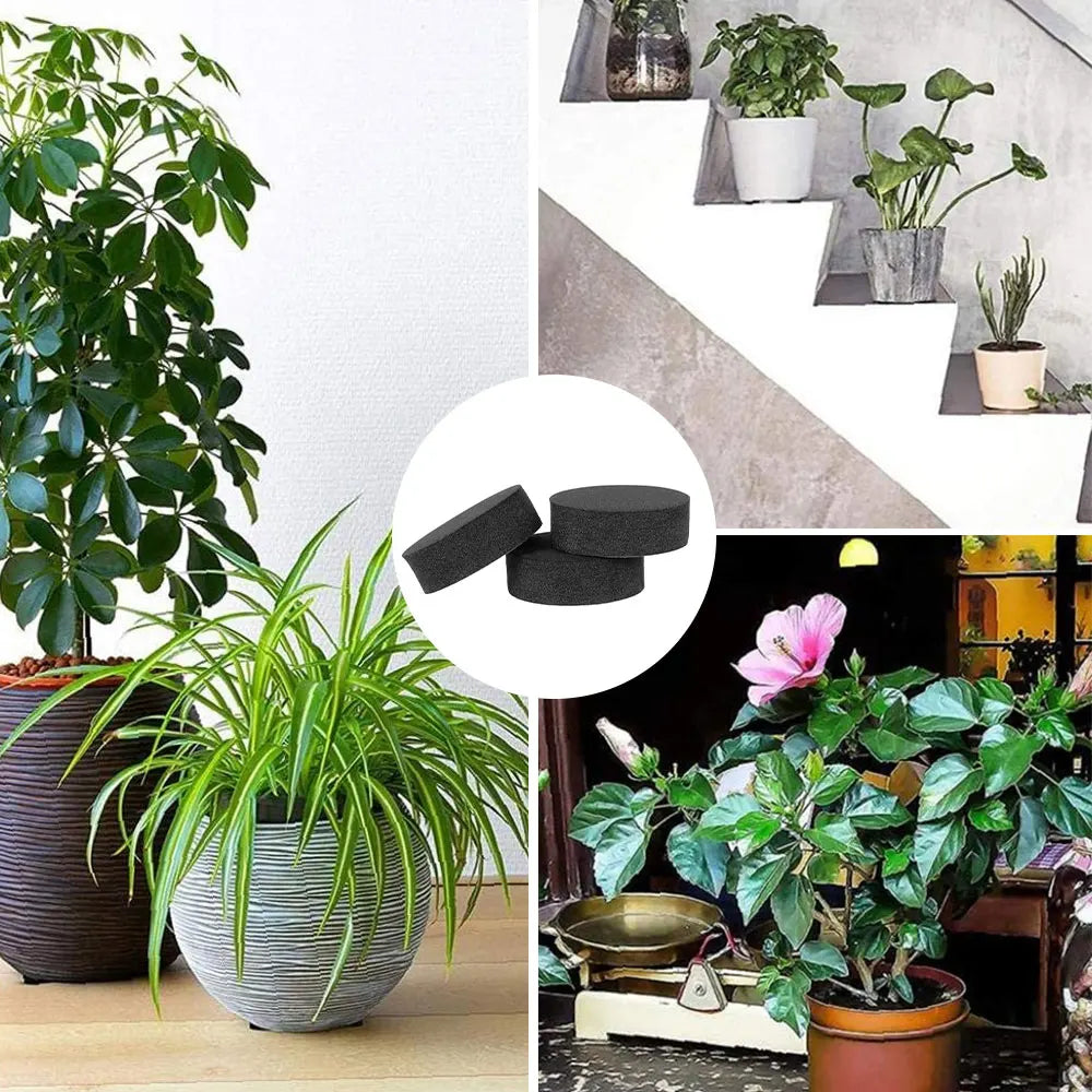 40/160 piezas patas para macetas redondas de EVA, elevadores invisibles para macetas, kit autoadhesivo antideslizante, elevadores para macetas, accesorios de jardinería