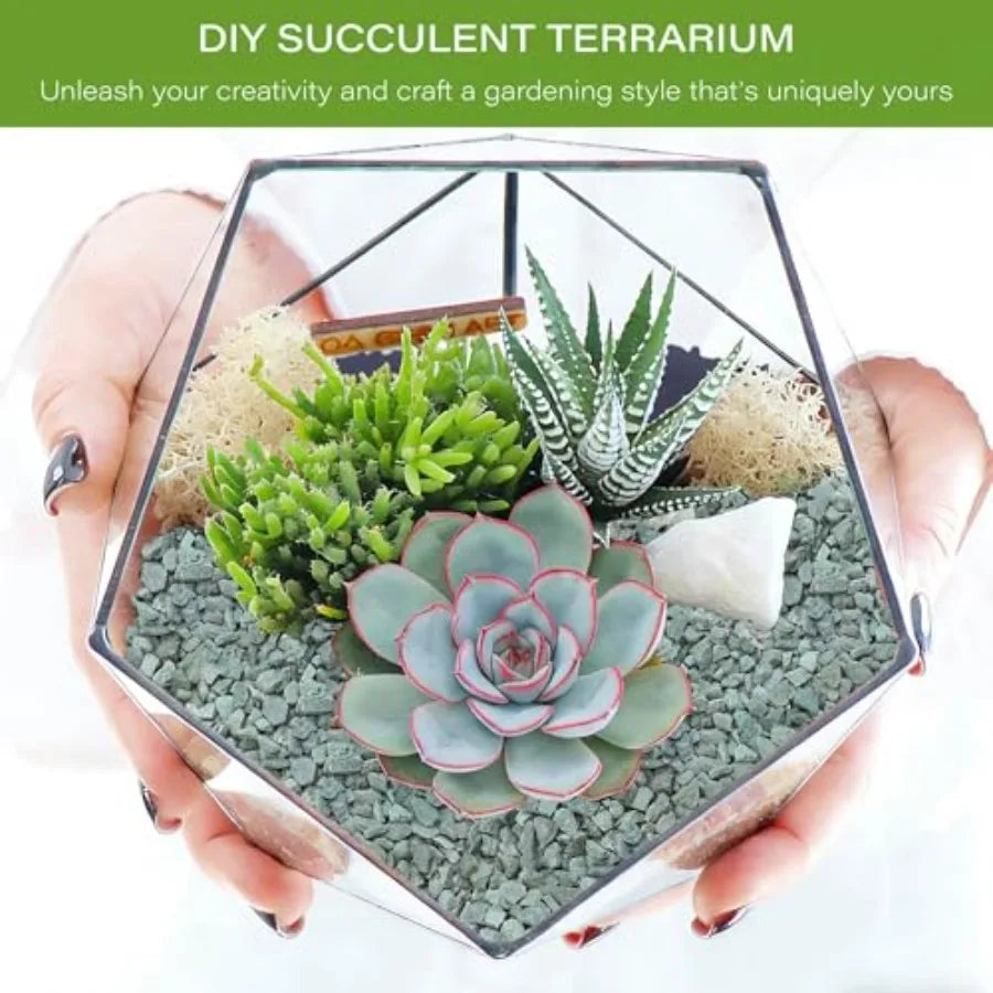 Zeolita para plantas/8" enmiendas de tierra para macetas suculentas naturales, grava decorativa para cactus, bonsáis, guijarros de roca arenosa, piedra pómez