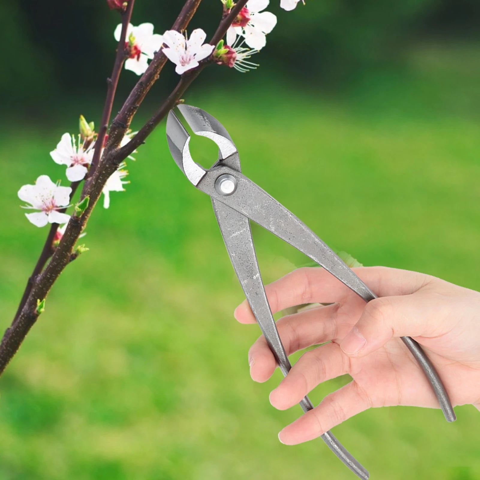 Tijeras de podar de jardín para bonsái, cortador de ramas, tijeras de podar multifuncionales para bonsái, herramientas de tijeras de jardinería