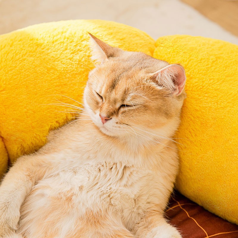 Nueva Esterilla Nido para Gatos Productos para Mascotas