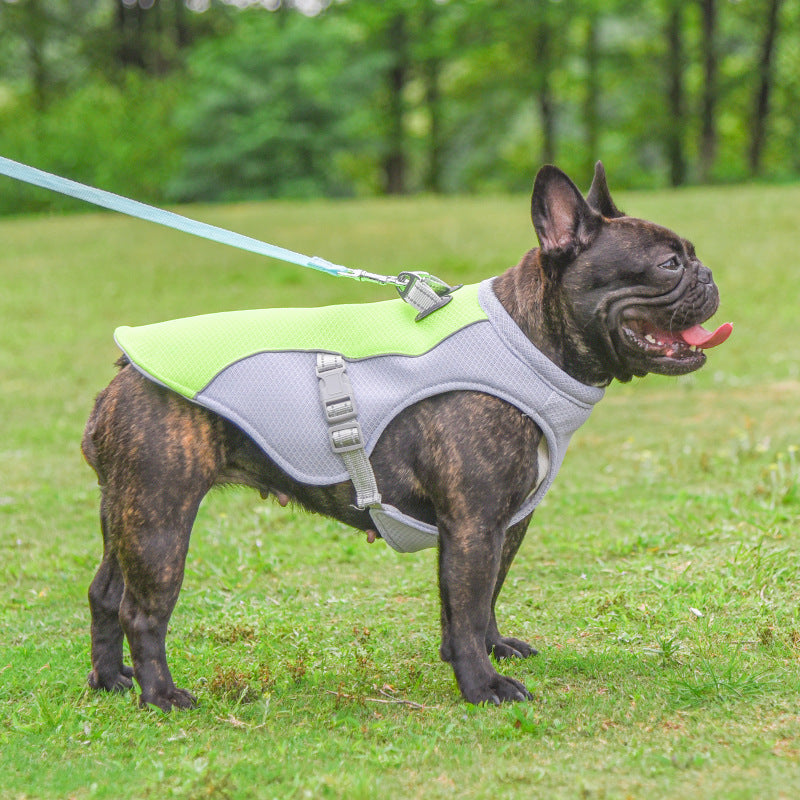 Chaleco refrigerante para perros de verano, resistente al calor, ropa fresca para perros, transpirable, protección solar para perros pequeños y grandes, para paseos al aire libre